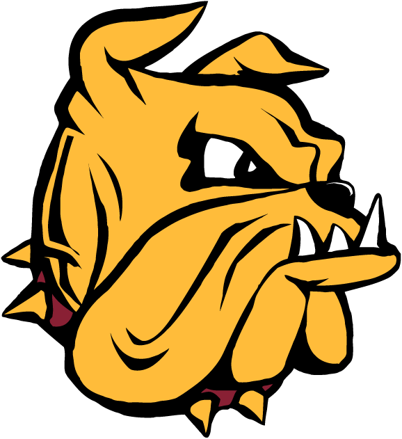 Minnesota-Duluth Bulldogs 1996-Pres Secondary Logo diy DTF decal sticker